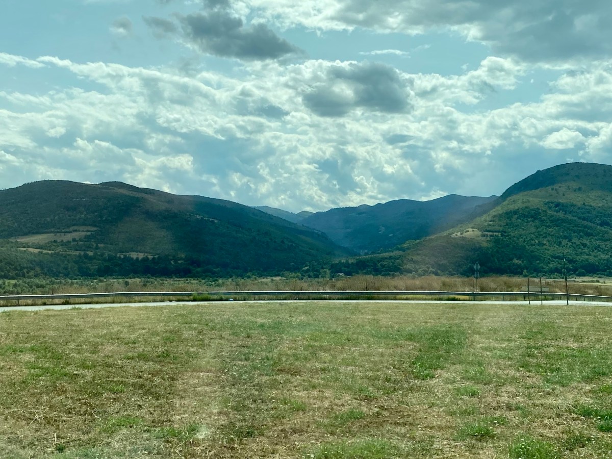 The Breeze, The Trees, The Honey Bees – All Volunteers!